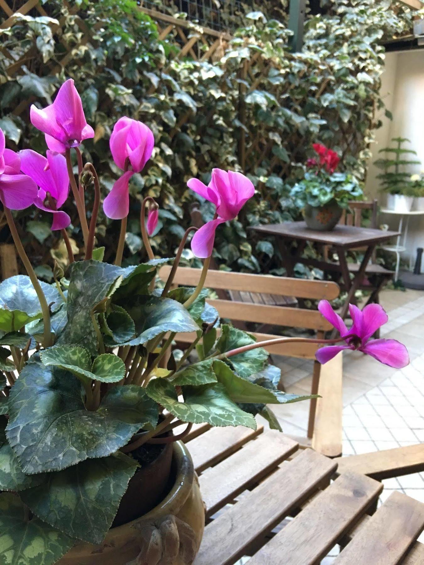 St. John Rome B&B Εξωτερικό φωτογραφία